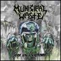 municipal waste